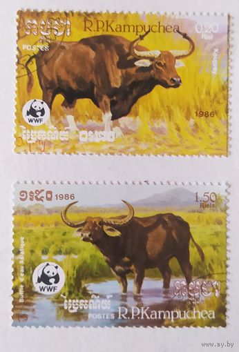 Кампучия 1986, буйволы