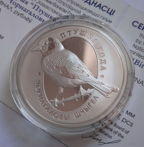 Чорнагаловы шчыгел (Черноголовый щегол). 10 рублей.