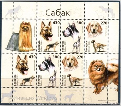 2003. 520-522. МЛ Собаки**