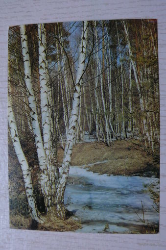 Давыдов В., Весна; 1983, чистая.
