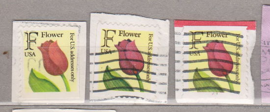 Цветы тюльпаны Флора  США  лот 1069 цена за 1 марку вырезки