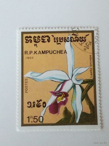 Камбоджа 1988. Орхидея