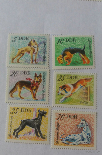 ГДР 1976 6м собаки фауна **