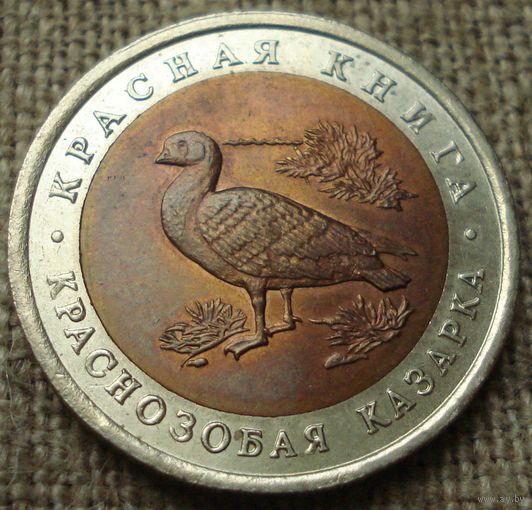10 рублей 1992 Россия - Краснозобая казарка