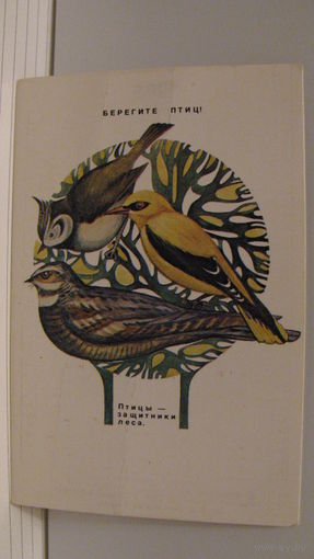 Карманный календарик. Берегите птиц. 1985 год