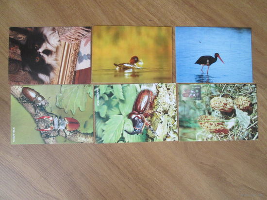 6 белорусских открыток
