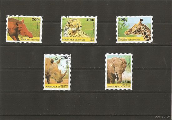 Гвинея 1997 Фауна Африки  5 марок из серии