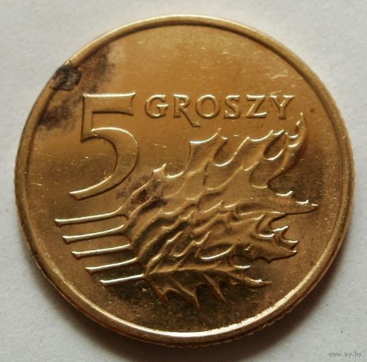 5 грошей 2010 Польша