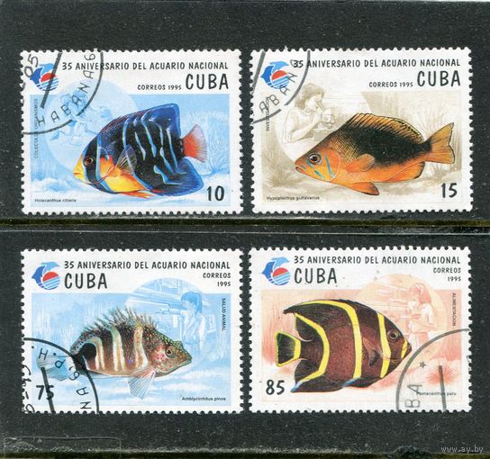 Куба. Аквариумные рыбки