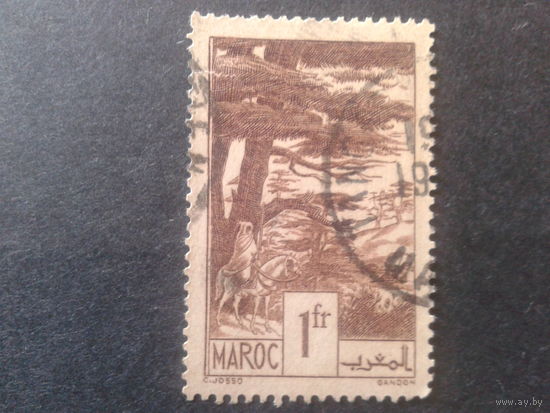 Марокко 1939 деревья, всадник