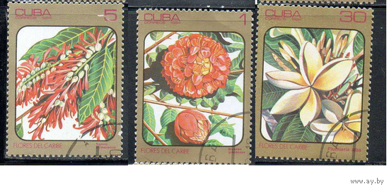 Флора Цветы Куба 1984