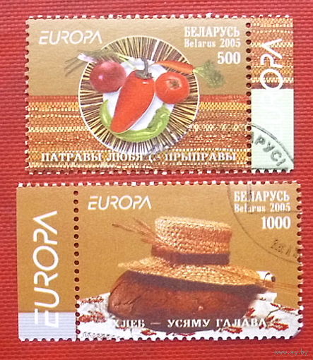 Беларусь. Европа. ( 2 марки ) 2005 года. 6-5.