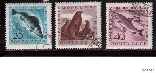 СССР-1960, (Заг.2382-2384), гаш.(с клеем), Морская фауна