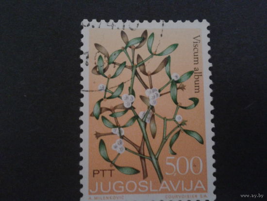 Югославия 1973 цветы