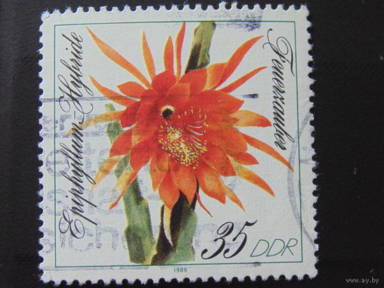 Германия 1989 г. Цветы.