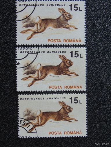 Румыния 1993 г. Фауна. Одна, верхняя.