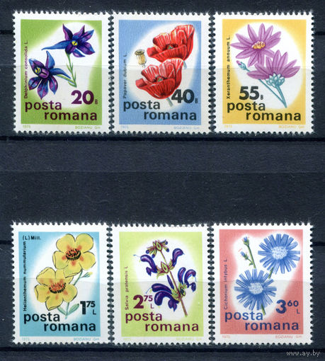 Румыния - 1975г. - Цветы. Международная ботаническая конференция - полная серия, MNH [Mi 3285-3290] - 6 марок