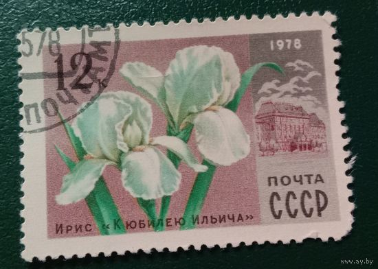 Марка СССР 1978 Ирис "К юбилею Ильича"