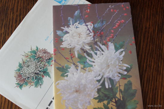 Комплект (открытка + конверт). Хризантемы. Фото и худ. И. Дергилев. Открытка двойная, чистая. 1989 год