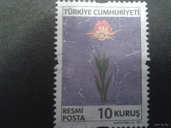 Турция 2011 цветы