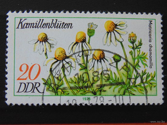 Германия 1976 г. Цветы.