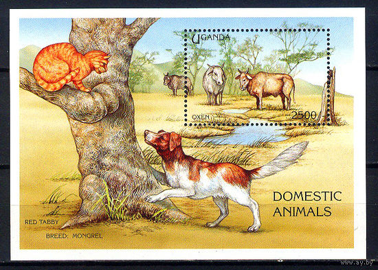1995 Уганда. Домашние животные