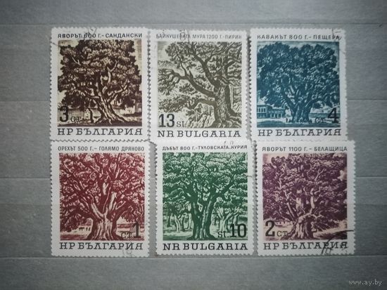 Болгария. Деревья.