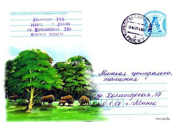 2011. Конверт, прошедший почту "Зубры на лесной поляне"