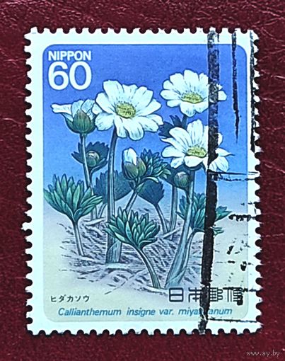 Япония, 1м гаш. цветы-14
