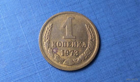 1 копейка 1973. СССР.