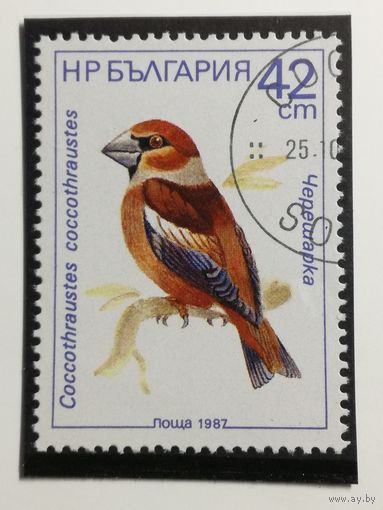 Болгария 1987. Певчие птицы