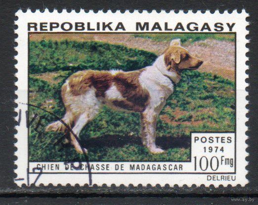 Собаки Мадагаскар 1974 год 1 марка