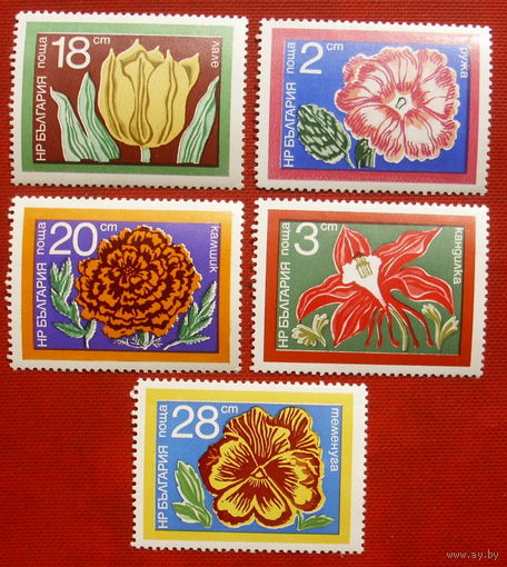 Болгария. Цветы. ( 5 марок ) 1974 года. 10-17.