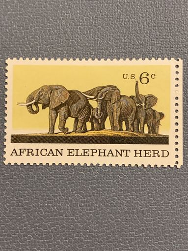 США 1970. Африканские слоны