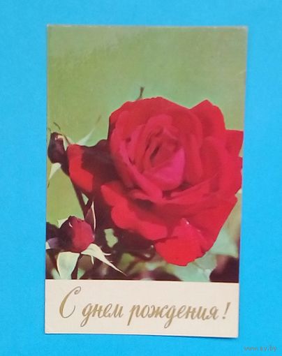 Открытка СССР-1974-С днём рождения-фото Н. Матанова-глянец-подписана.