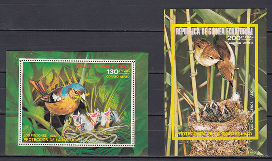 Фауна. Птицы. Экваториальная Гвинея. 1976. 2 блока. Michel N бл240-241 (15,0 е)