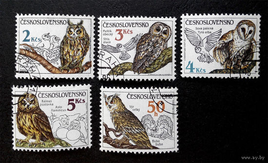 Чехословакия 1986 г. Совы. Птицы. Фауна, полная серия из 5 марок #0187-Ф1P43