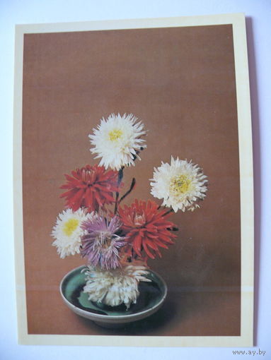 Савалов Е., Композиция из цветов, 1983, чистая.