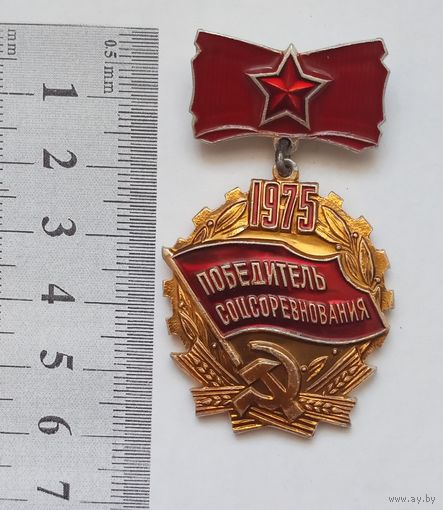 Победитель соцсоревнования 1975 СССР нагрудный знак большой