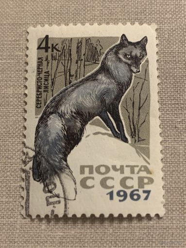 СССР 1967. Серебристо-чёрная лисица