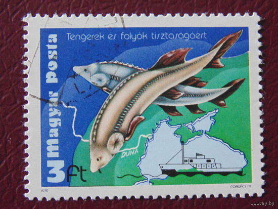 Венгрия 1979 г. Рыбы.