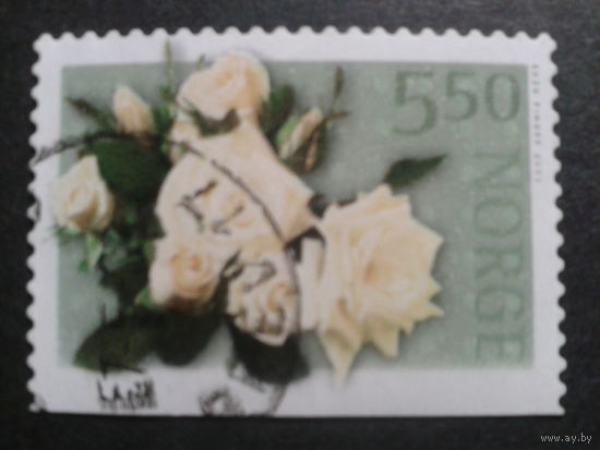 Норвегия 2003 розы
