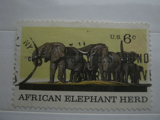 Марка - США фауна слоны