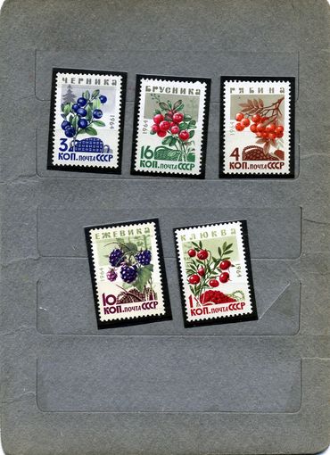 СССР, 1964, ЯГОДЫ** серия 5м,   Заг. 3048-52, чистая