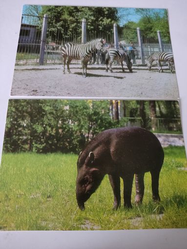 2 открытки с животными 1972г. (на обороте текст о животных на украинском языке)