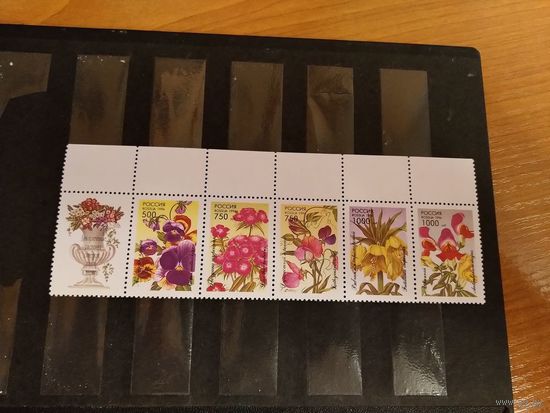 1996 Россия заг. 261-265 серия из листов с купонами чистые клей MNH** флора цветы (р -12)