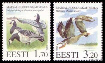 ЭСТОНИЯ 1995 083-84 Фауна Птицы ** серия 2 марки