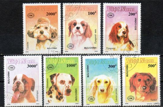 Вьетнам.1990г. Собаки.