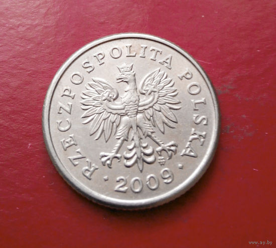 20 грошей 2009 Польша #10