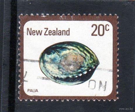 Новая Зеландия.Ми-760. Paua (Haliotis iris). Серия: Раковины и улитки. 1978.